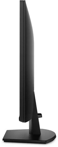 WTJr6ehtBkGFekadtG5TQQ.c-r.jpg?