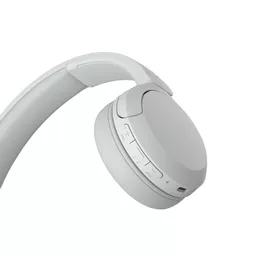 1687603 (Copy).png