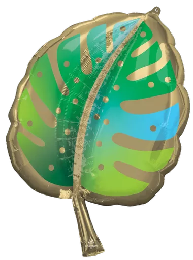 IT322227_1.webp