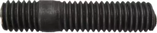 bn31 manistud1.jpg