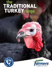 Turkey Food 2.jpg