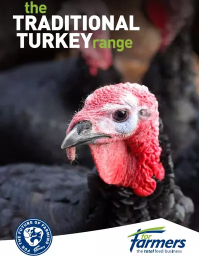 Turkey Food 2.jpg