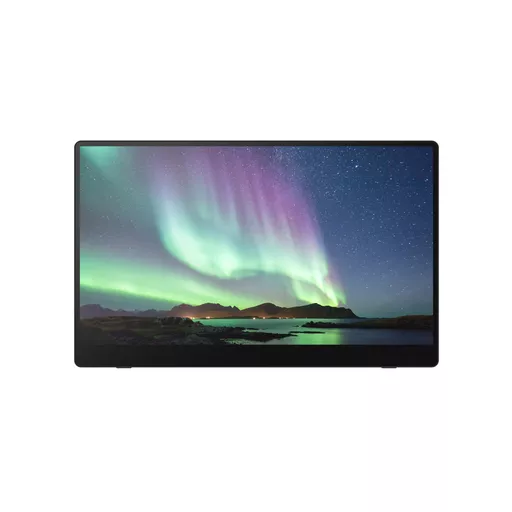 RICOH 150BW Portable Monitor