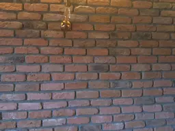 Fernhill Rustic Brick Terra Cotta 3.jpg