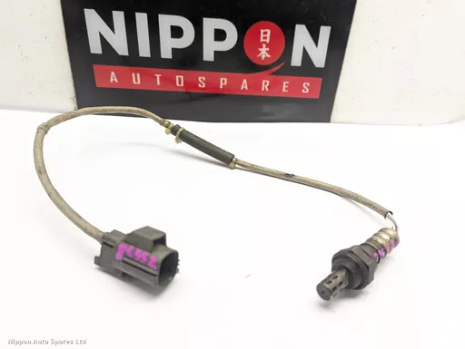 2c4a8878-6f8f-4955-98af-4d176cc6ea54.jpeg?