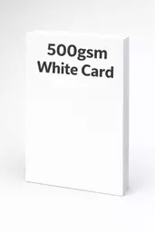 ChatGPT Image Jan 26, 2026, 10_34_58 AM.png