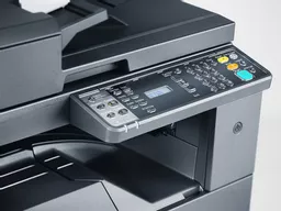 7pdRIxgJjk26FtDnKsyJbg.c-r.jpg?