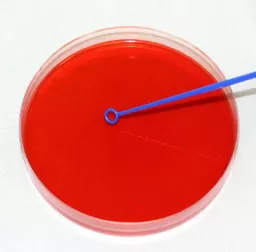 820132e68e3bf7e0168de2d3e358c4e1.png?