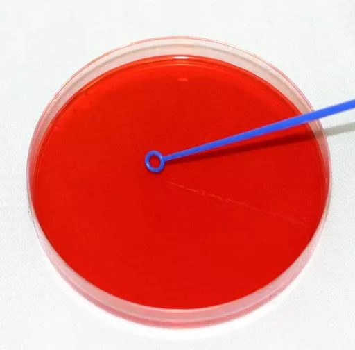 820132e68e3bf7e0168de2d3e358c4e1.png?