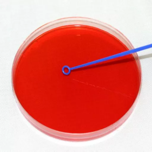 Loops Microloop Plastic 10ul Blue Ind Wrapped ST PK250