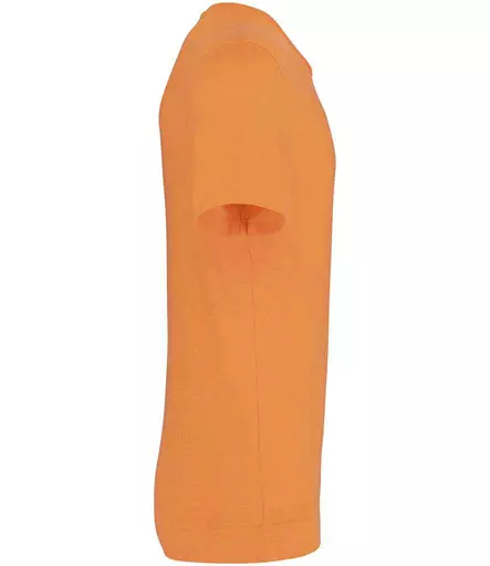 NS300%20CLH%20LEFT.jpg