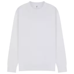 CasualClassics_ClassicRingspun280RegularFitSweatAdultC2400_White_Front.png
