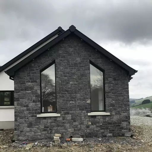 Natural Black and White Limestone 3