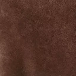 1771363230-24094800.jpg?