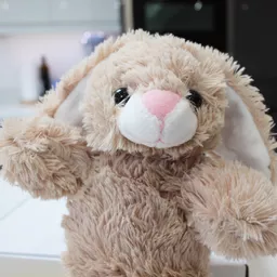 Bunny-Head.jpg