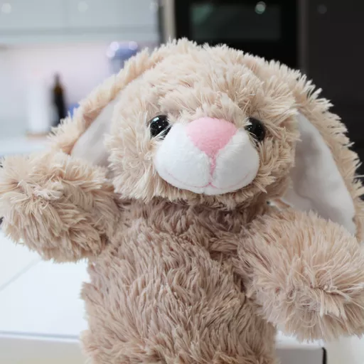 Bunny-Head.jpg