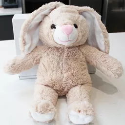 LargeBunnyonOwn.png