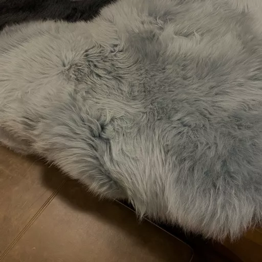 1636463358-69190400.jpg?