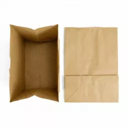 _0001_320 x 170 x 400mm SOS Grab Bag Kraft.jpg