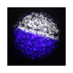 1562861470-05646700.jpg?