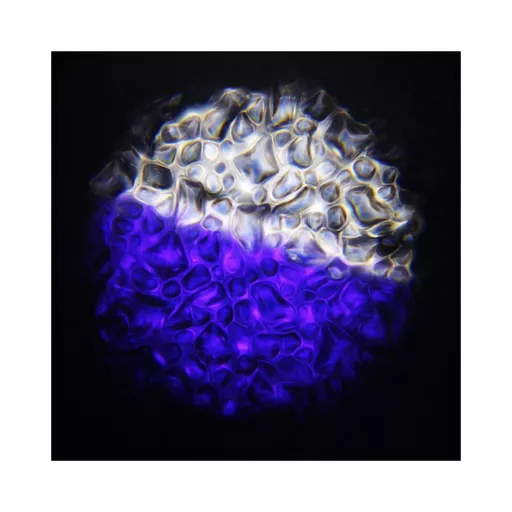 1562861470-05646700.jpg?