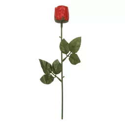 IT315112.png