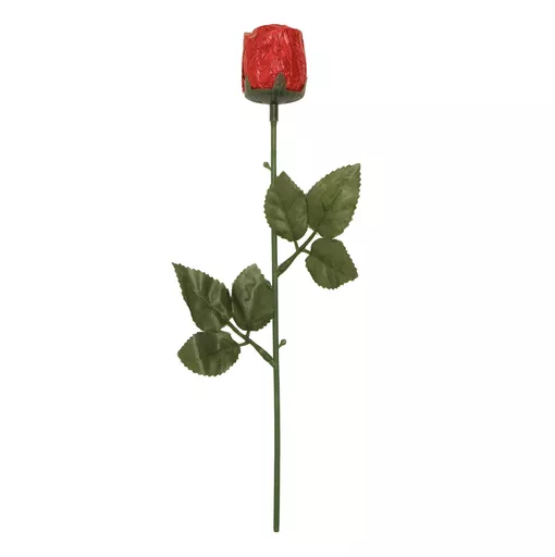 IT315112.png