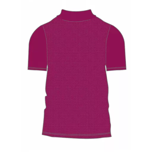 GloucestershireRFU_PoloShirt_Back.png