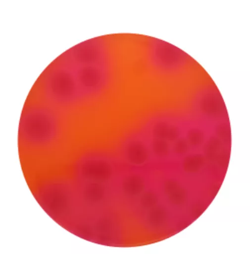 16516539945c55ff0df81315f794025d5c404eacfe.PNG?