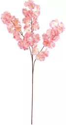 IT379353_1.jpg