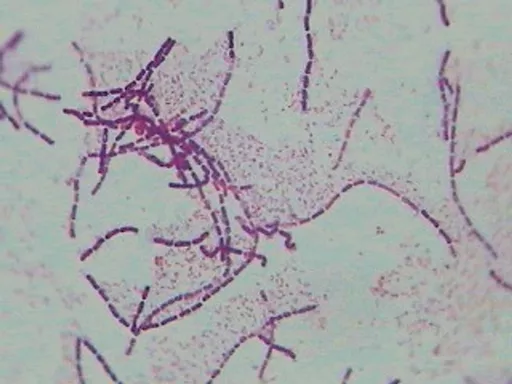FINHC1006376.png