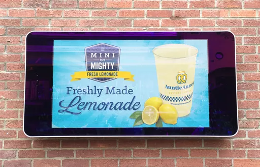 55inch Outdoor Screen.jpg