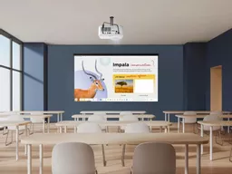 0mcuGupi7kKPspCx4Hv8zw.c-r.jpg?
