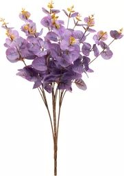 IT393771.jpg