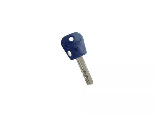 Garrison Integrator Keys 348E (MUL-T-LOCK)