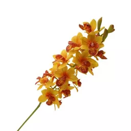 Cymbidium Orchid Spray Yellow.jpg
