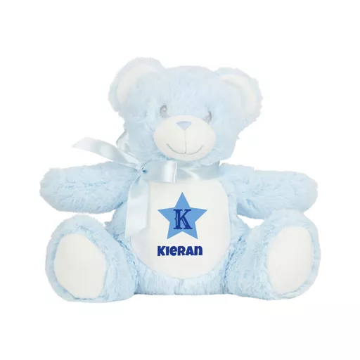 Blue Bear Plush Soft Toy