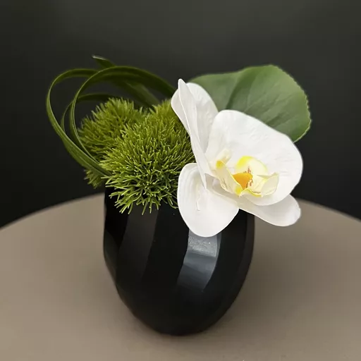 Single Orchid Arrangement in Small Black Glass