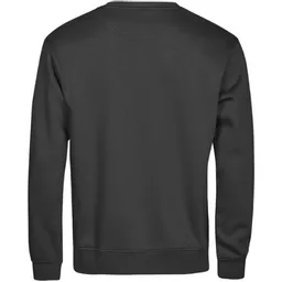 TeeJays_UnlabeledSweatshirtT5150_Black_Back.png