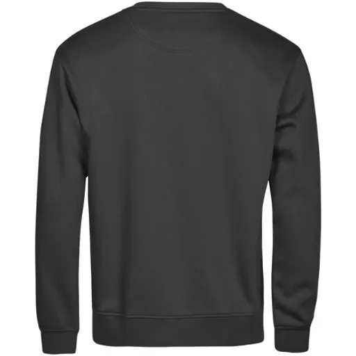 TeeJays_UnlabeledSweatshirtT5150_Black_Back.png