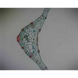 FINCP00055278.png