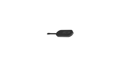 iiyama WP-D003C wireless Presentation USB-C dongle