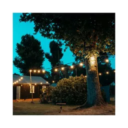 1650879194-62648800.jpg?