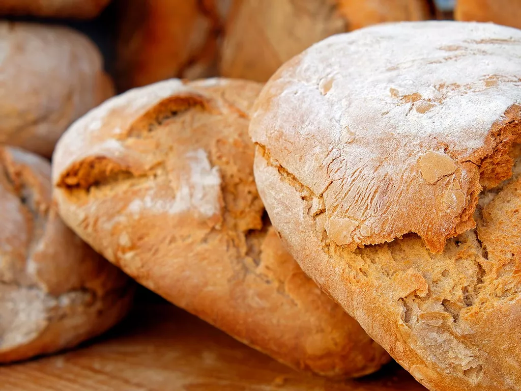 Easy bake bread
