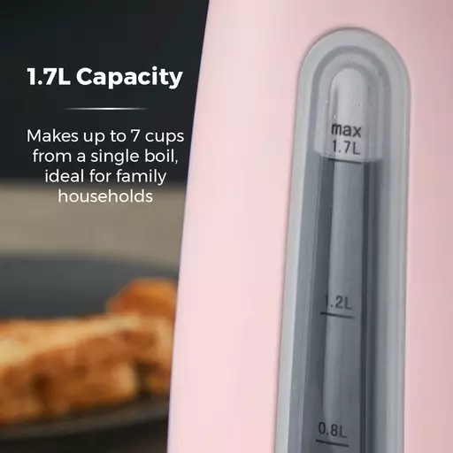 T10066PNK_04.jpg