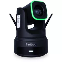 Birddog-BDX4UB_-1.jpg?