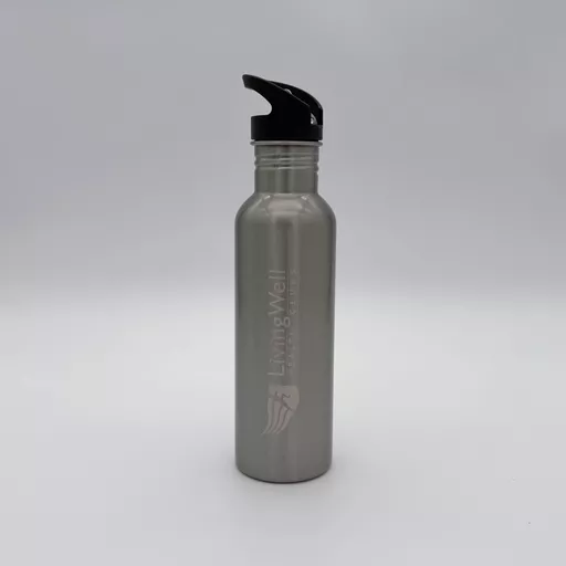 Old Style stainless Bottle silver with straw