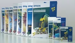 zQgv6nQkbUW8PX-GEmJaKg.c-r.jpg?