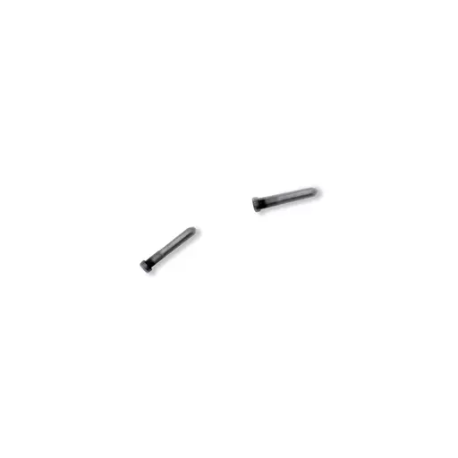 Bottom Screws (Silver) (2 Piece Set) (CERTIFIED) - For iPhone 12 Pro