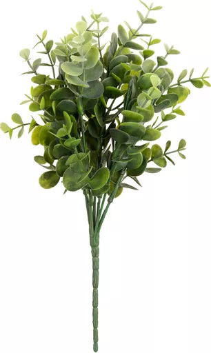 IT379356_1.jpg